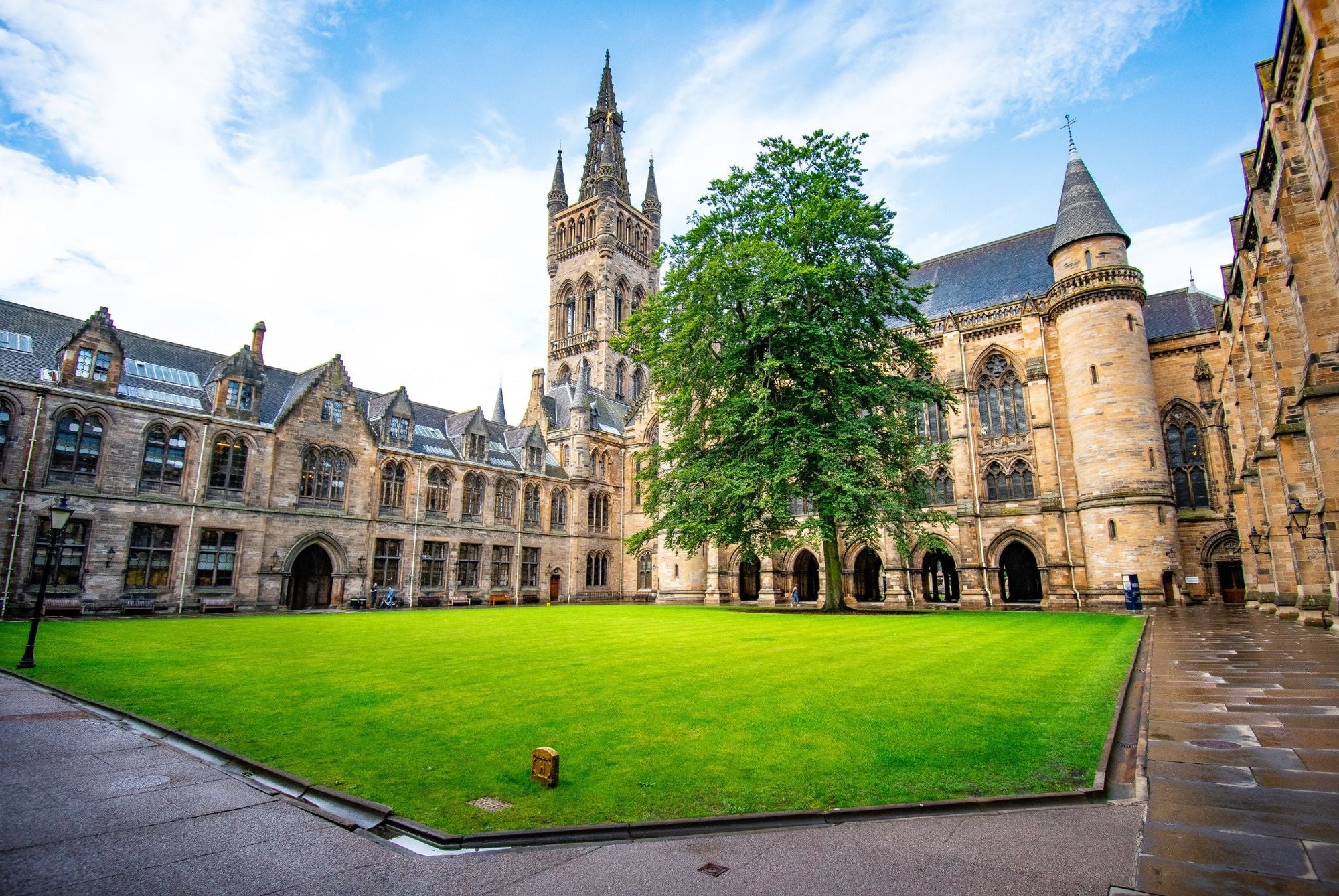 IELTS Preparation Success: Student Accepted to an Australian University