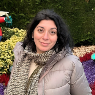 Green English — General English online course, comprehensive language program